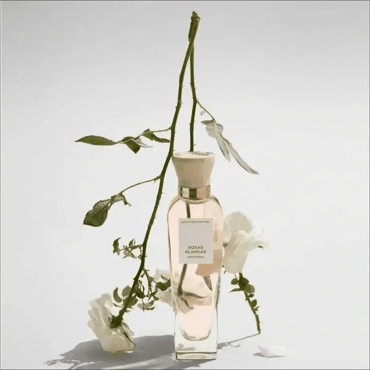 Adolfo Dominguez Agua Fresca De Rosas Blancas 120ml EDT Para Mulheres - Perfume Floral Elegante - Jm Grife - issues - Jm Grife - Adolfo Dominguez Agua Fresca De Rosas Blancas 120ml EDT Para Mulheres - Perfume Floral Elegante