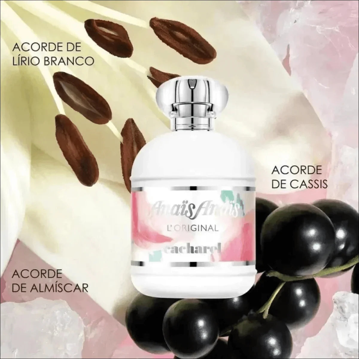 Cacharel Anaïs Anaïs EDT 30ml - Eau de Toilette Floral Feminino Delicado e Romântico - Jm Grife - Cacharel,Eau de Toilette,fragrância floral,optimized,perfume feminino - Jm Grife - Cacharel Anaïs Anaïs EDT 30ml - Eau de Toilette Floral Feminino Delicado e Romântico