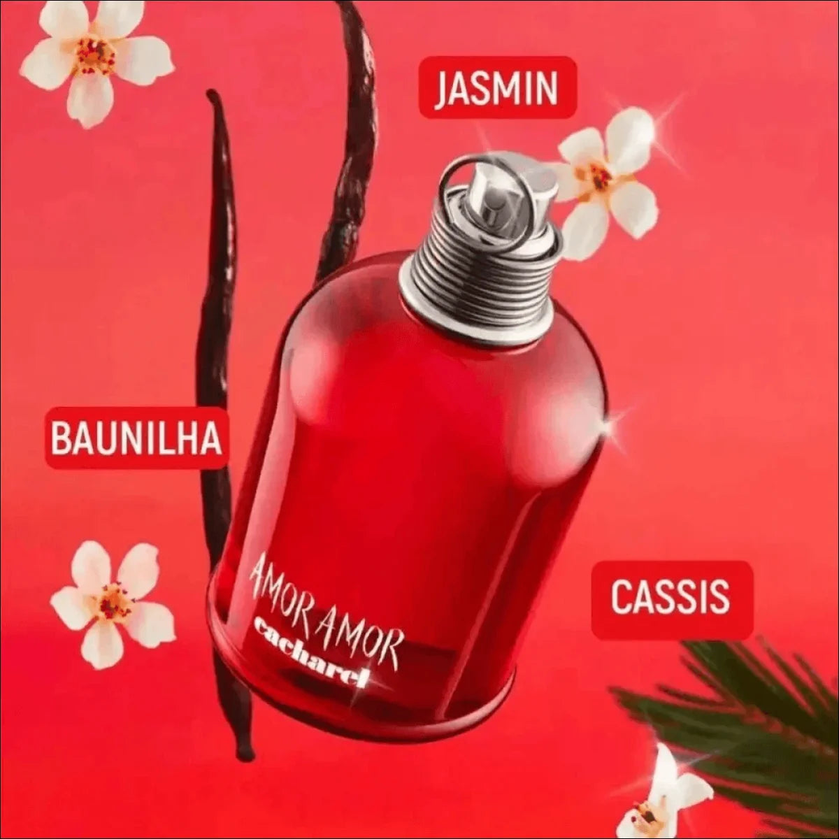 Cacharel Perfume Feminino Amor Amor - Edt 100ml Blz - Jm Grife - 100ml,amor,cacharel,feminino,optimized,perfume - Jm Grife - Cacharel Perfume Feminino Amor Amor - Edt 100ml Blz