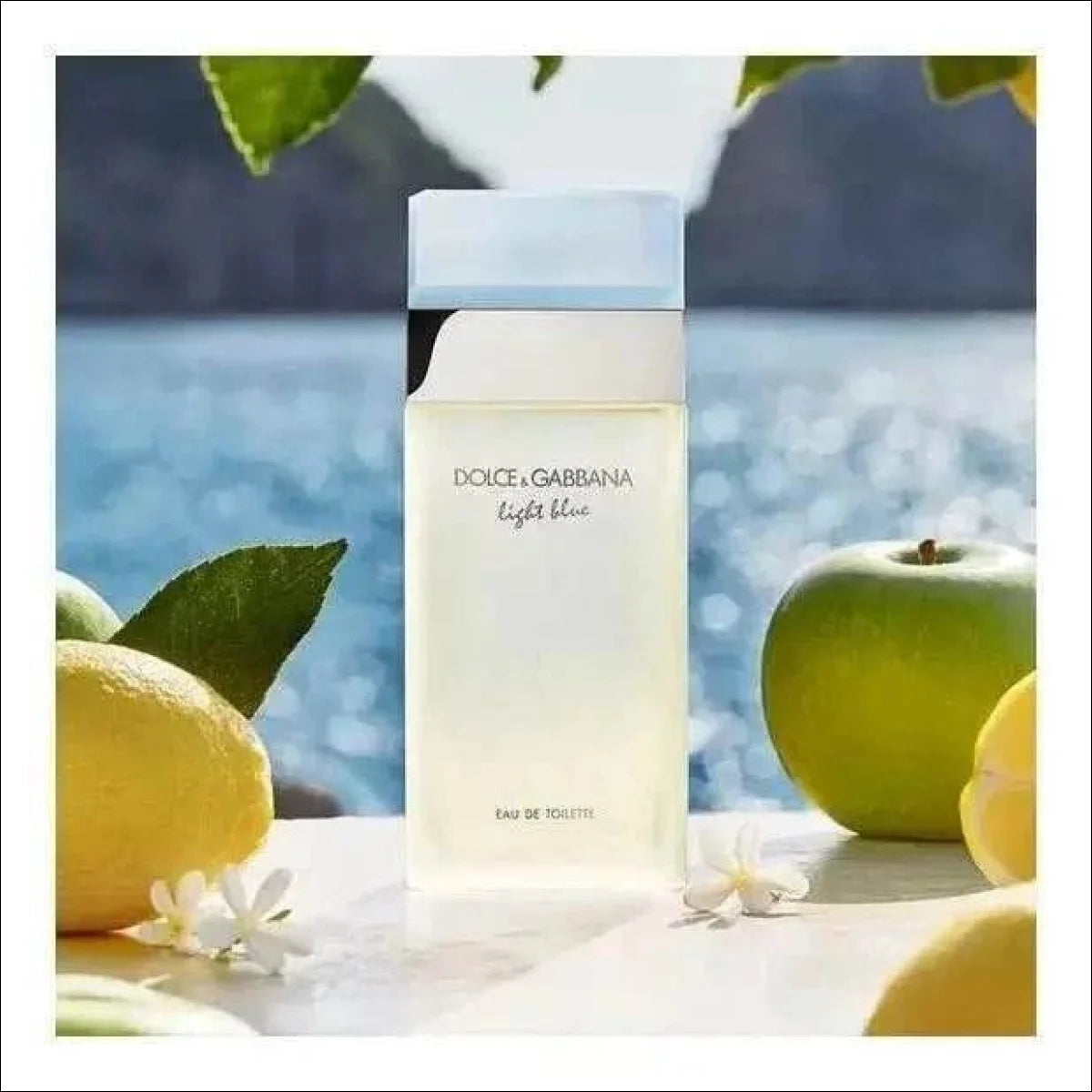 Dolce Gabbana Light Blue Fem 50ml Volume da unidade 50 mL - Jm Grife - blue,fragr,issues,light,ncia,perfume - Jm Grife - Dolce Gabbana Light Blue Fem 50ml Volume da unidade 50 mL