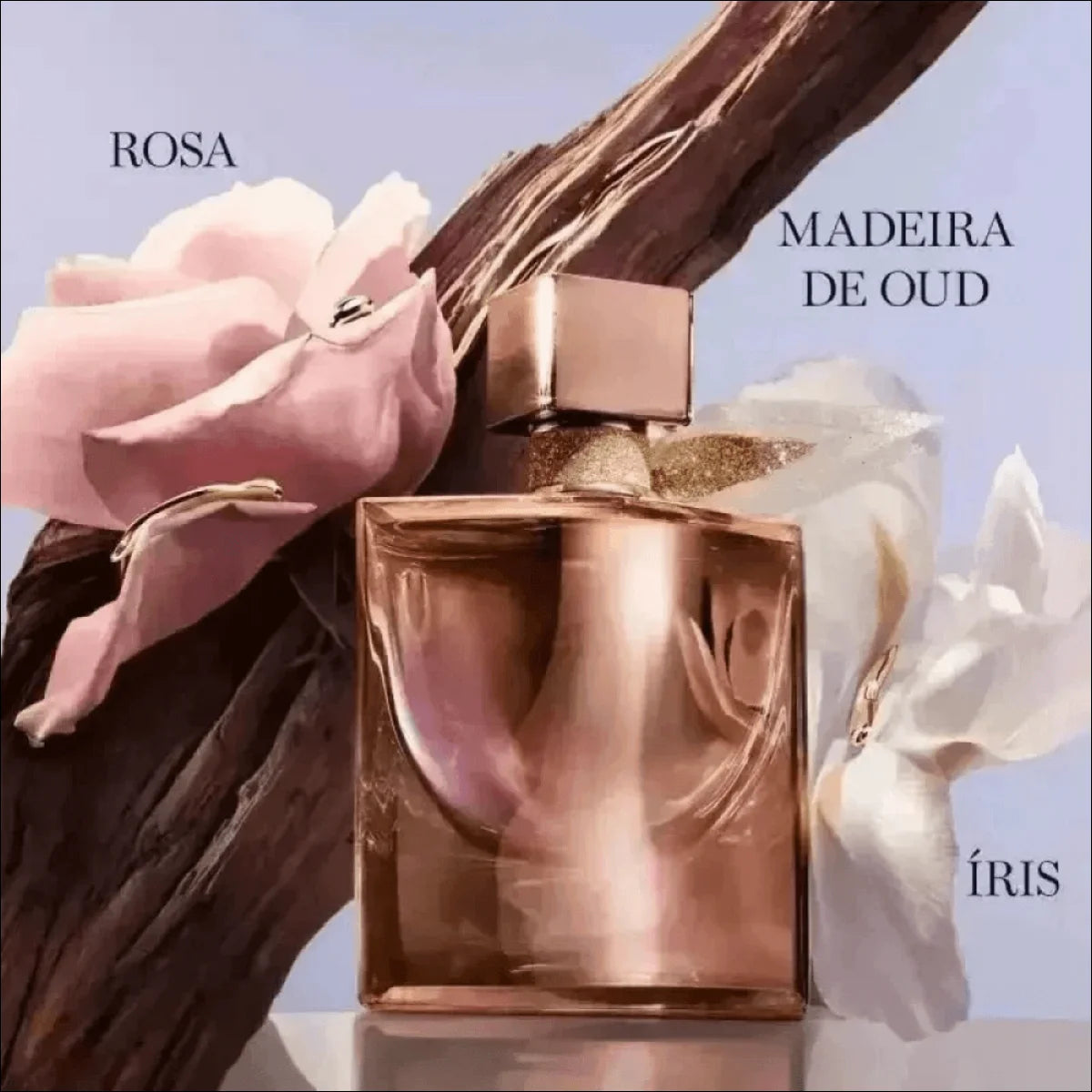 Lancôme La Vie Est Belle Gold - Extrait Elegante 75ml com Provador Inclusos - Jm Grife