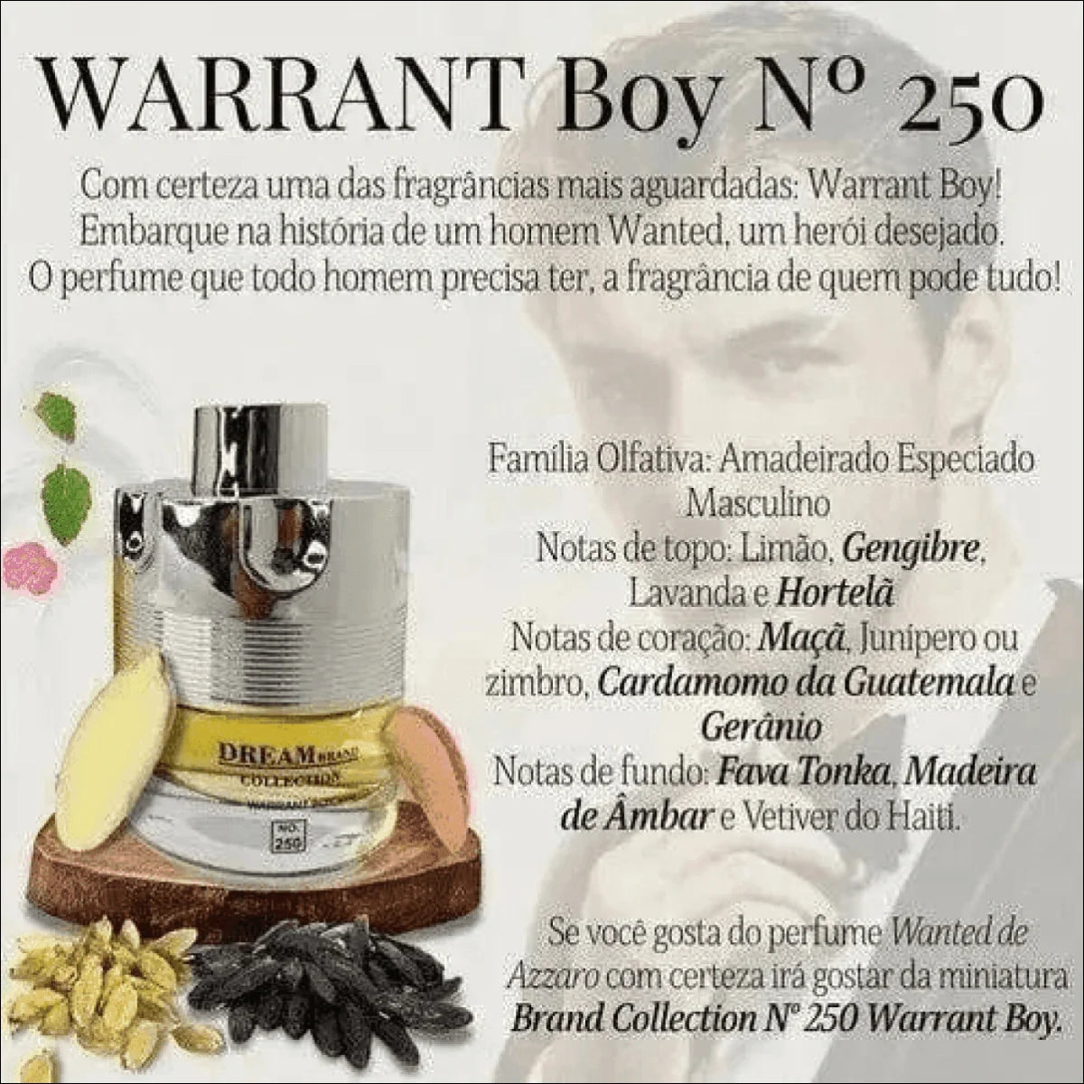 Perfume Brand Collection 250 - Fragrância Inspirada em Wanted Pour Homme 25ml para Homens - Jm Grife
