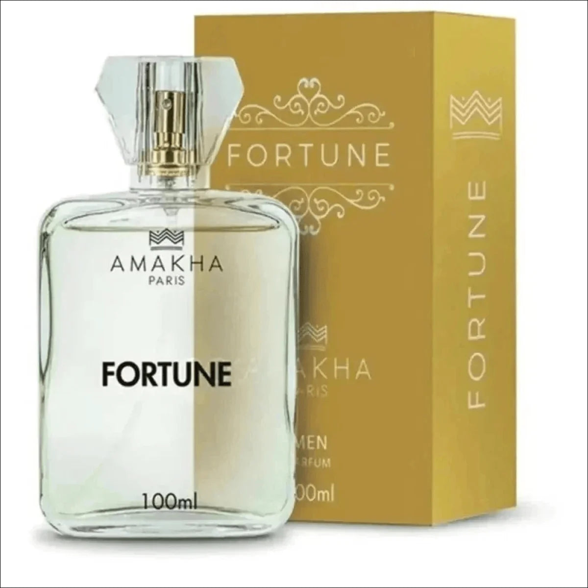 Perfume Masculino Fortune Amakha Paris 100ml Men Parfum - Jm Grife