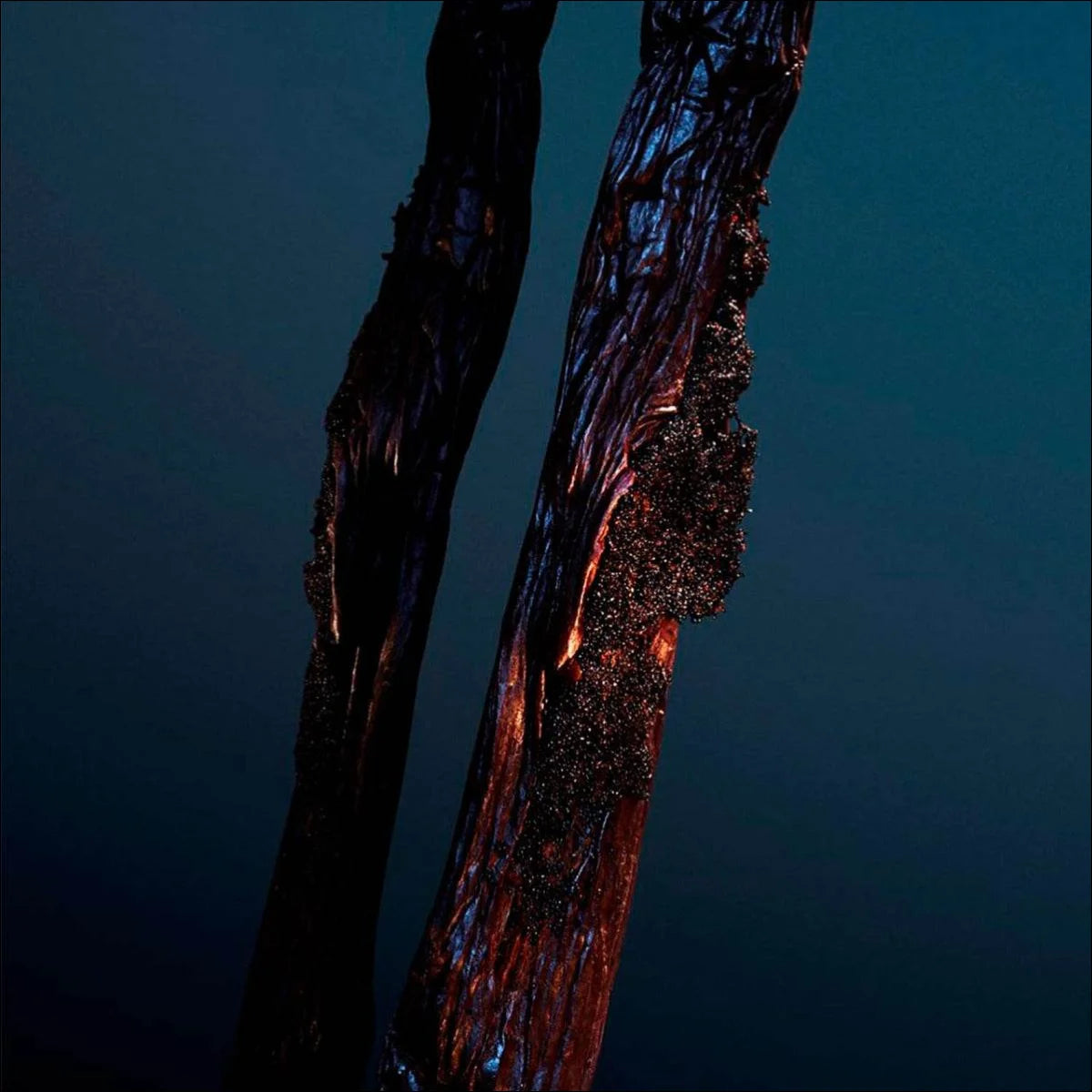 Perfume Phantom 50 ml - Jm Grife