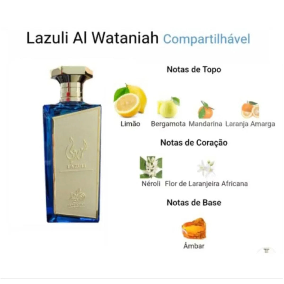 Perfumes árabes zimaya,Afnan,Maison Alhambra lattafa Eau de parfum 100 ml - original lacrado - Jm Grife