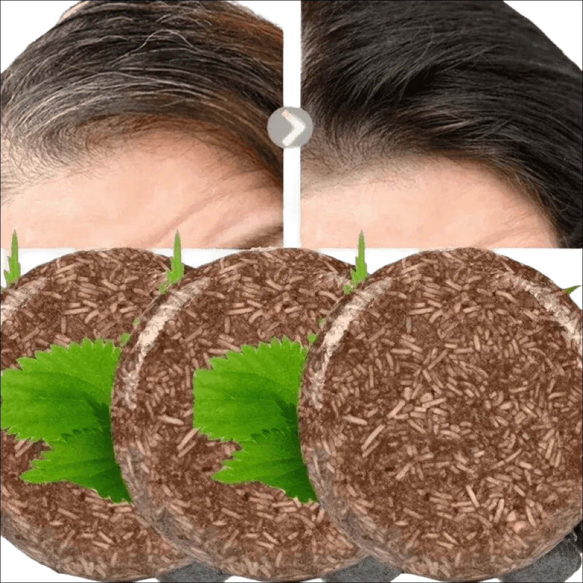 Shampoo Escurecedor Orgânico - Intensifica a Cor, Nutre e Fortalece com Ingredientes Naturais - Jm Grife