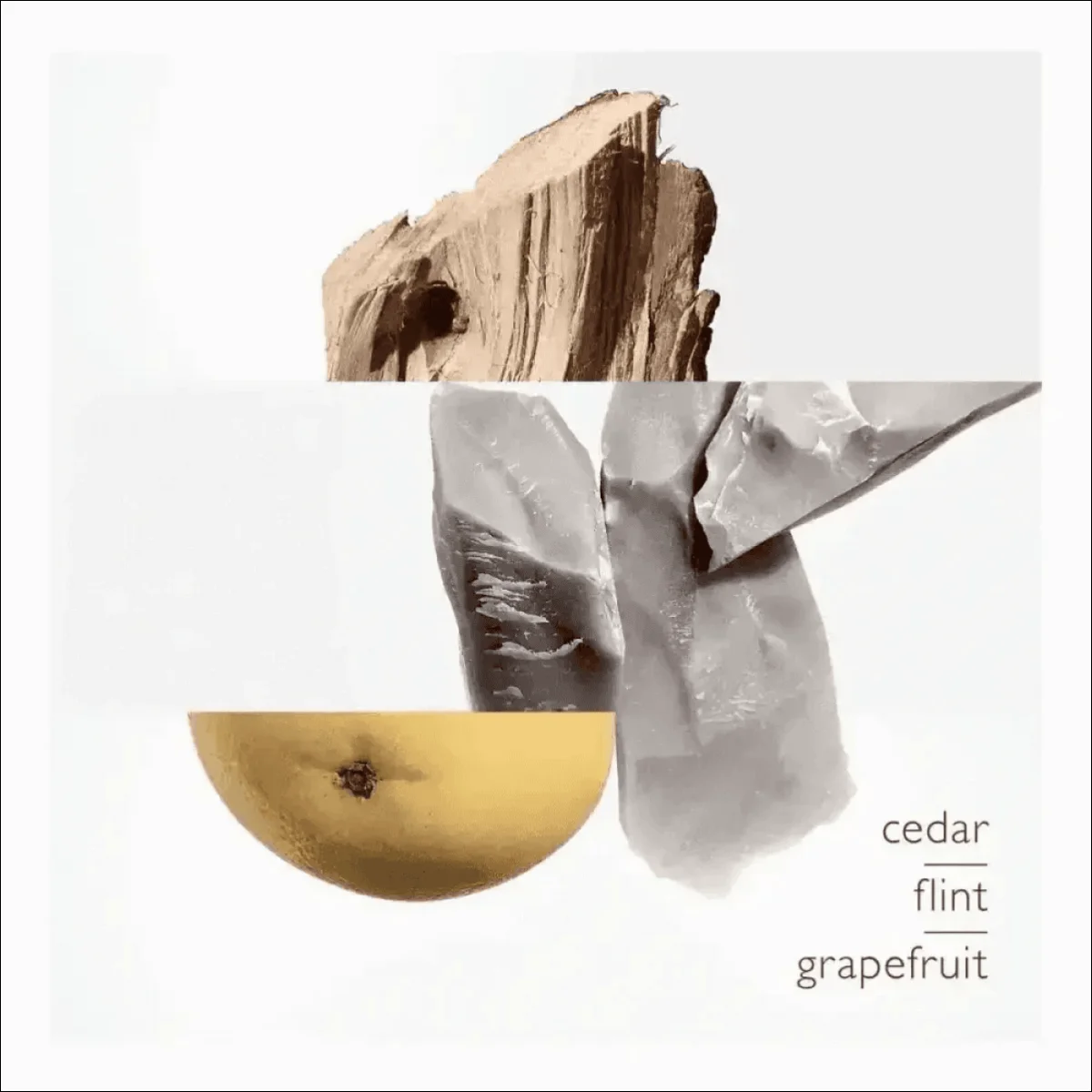 Terre D'Hermès Edt 50ml - Perfume Masculino Amadeirado e Especiado da Hermès - Jm Grife