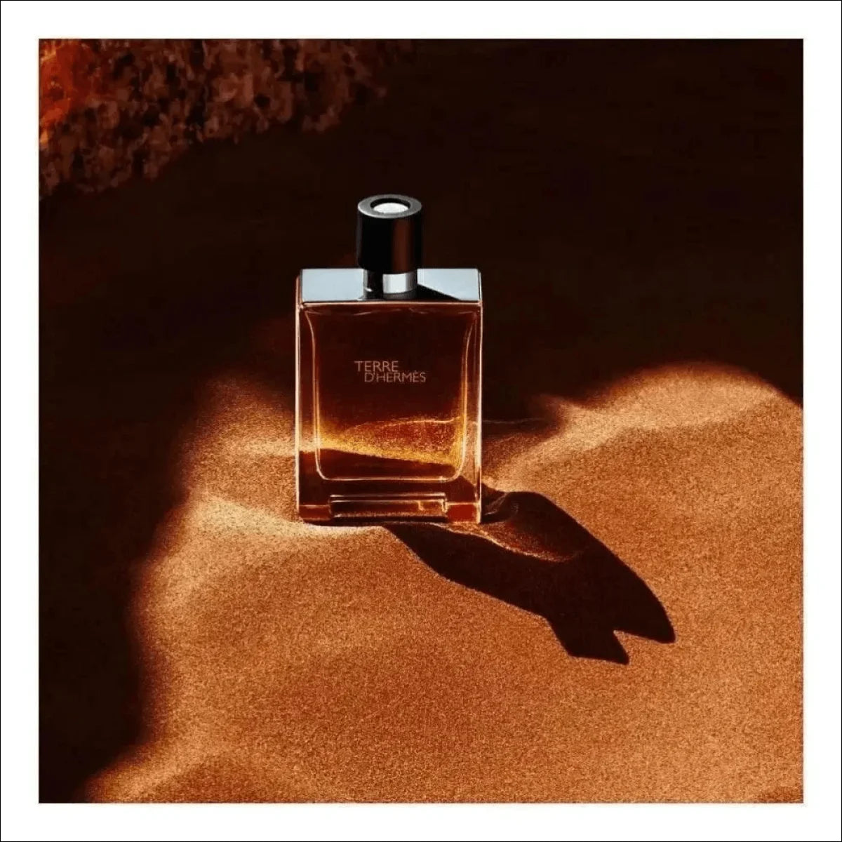Terre D'Hermès Edt 50ml - Perfume Masculino Amadeirado e Especiado da Hermès - Jm Grife