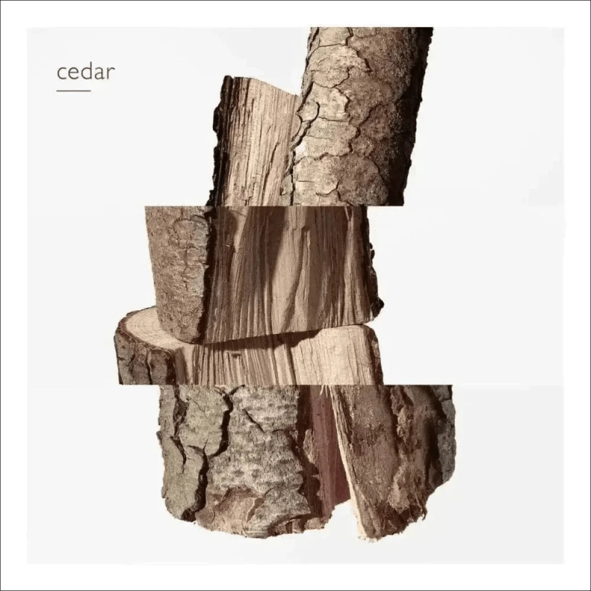 Terre D'Hermès Edt 50ml - Perfume Masculino Amadeirado e Especiado da Hermès - Jm Grife