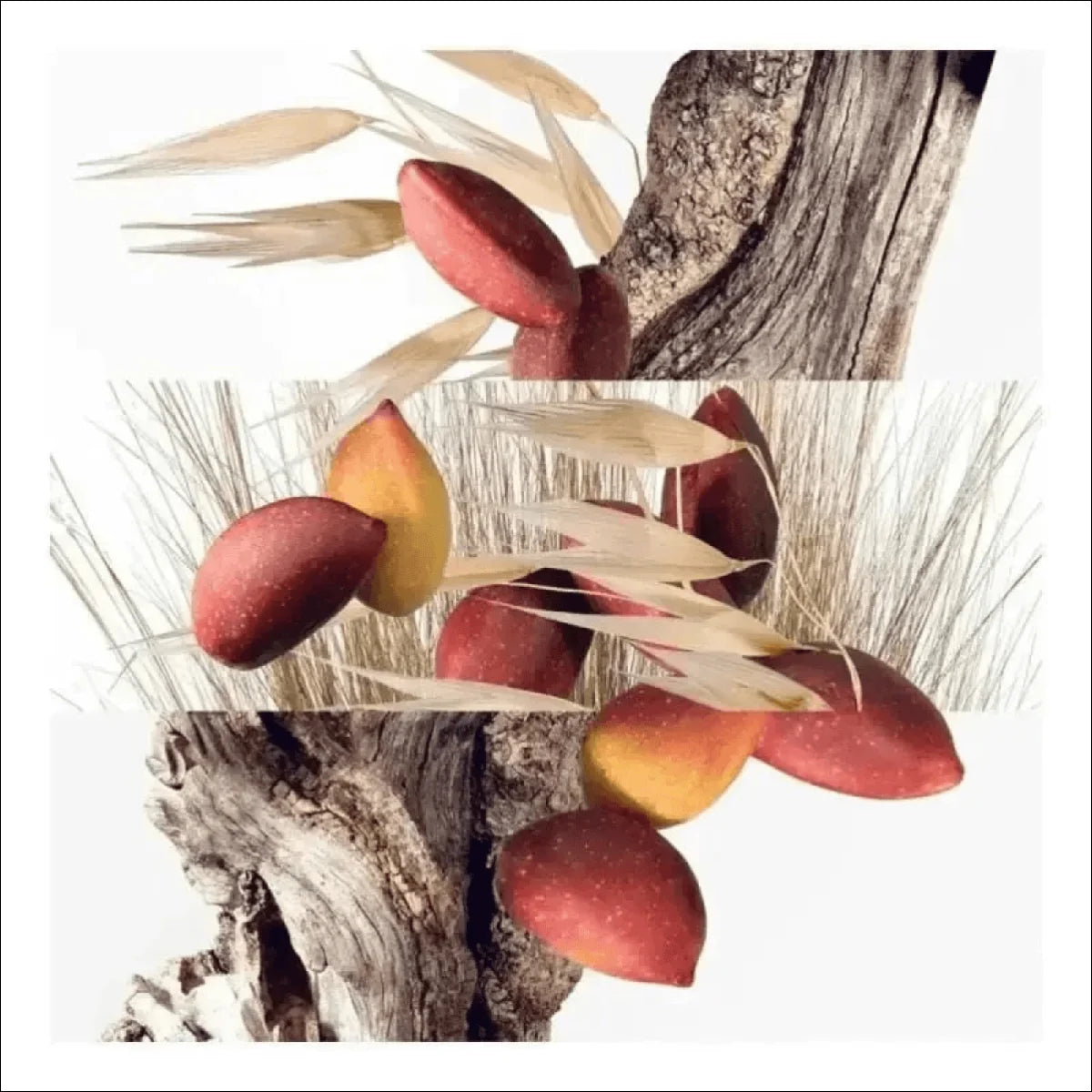 Un Jardin À Cythère Hermès Eau De Toilette - Perfume Unissex 50ml - Jm Grife