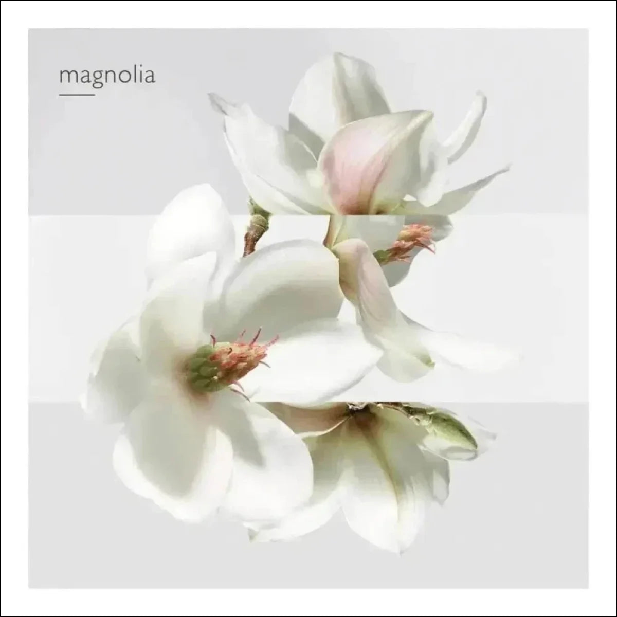 Un Jardin Sur La Lagune Hermès Edt - Perfume 100ml Blz - Jm Grife