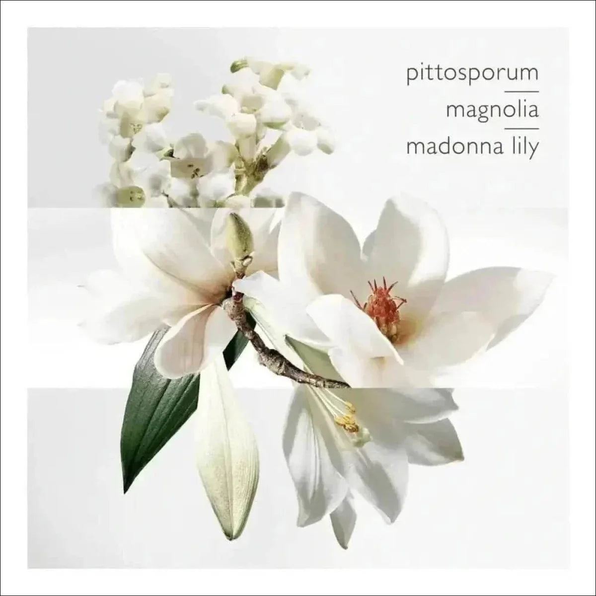 Un Jardin Sur La Lagune Hermès Edt - Perfume 100ml Blz - Jm Grife