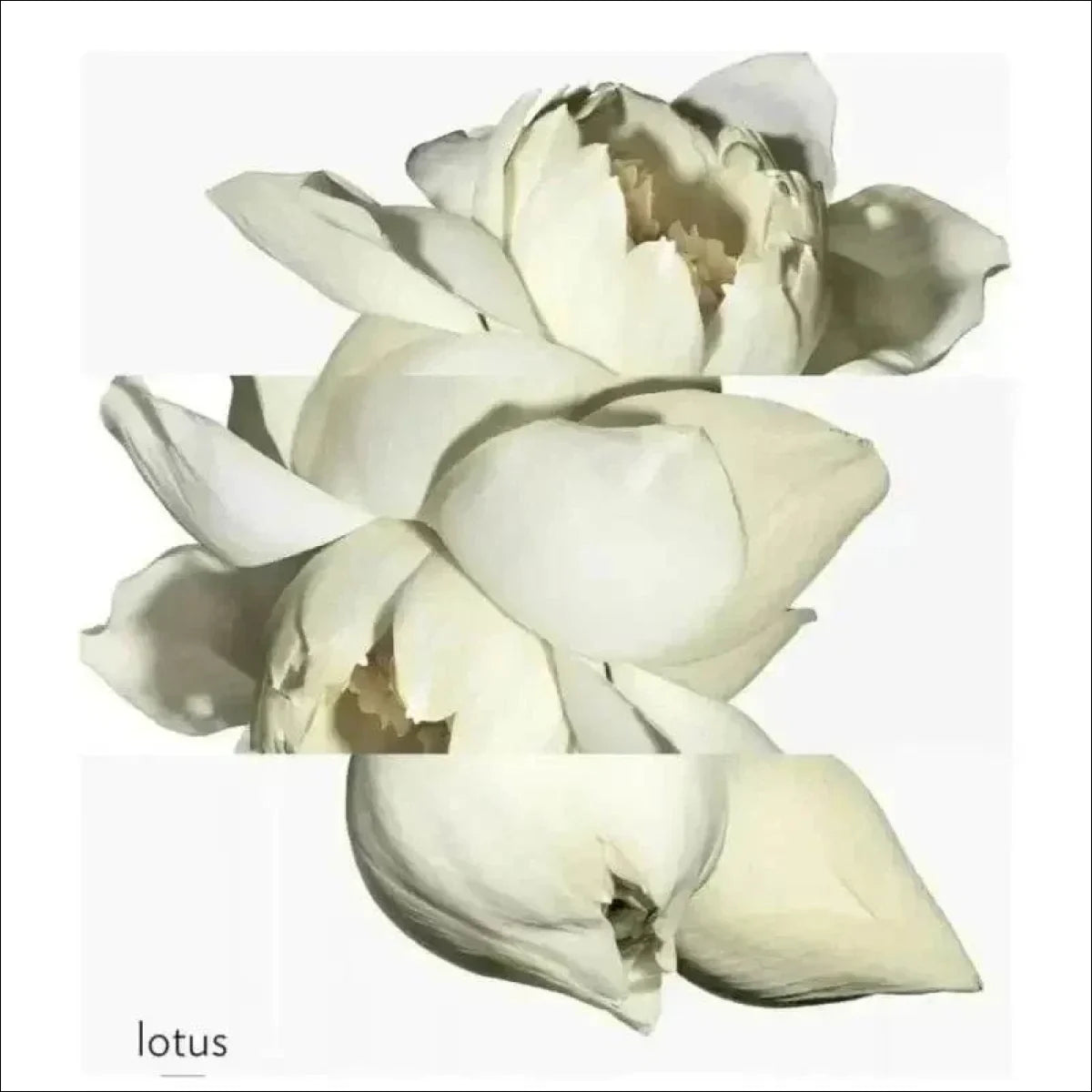 Un Jardin Sur Le Nil Hermès Edt - Perfume Unissex 50ml - Jm Grife