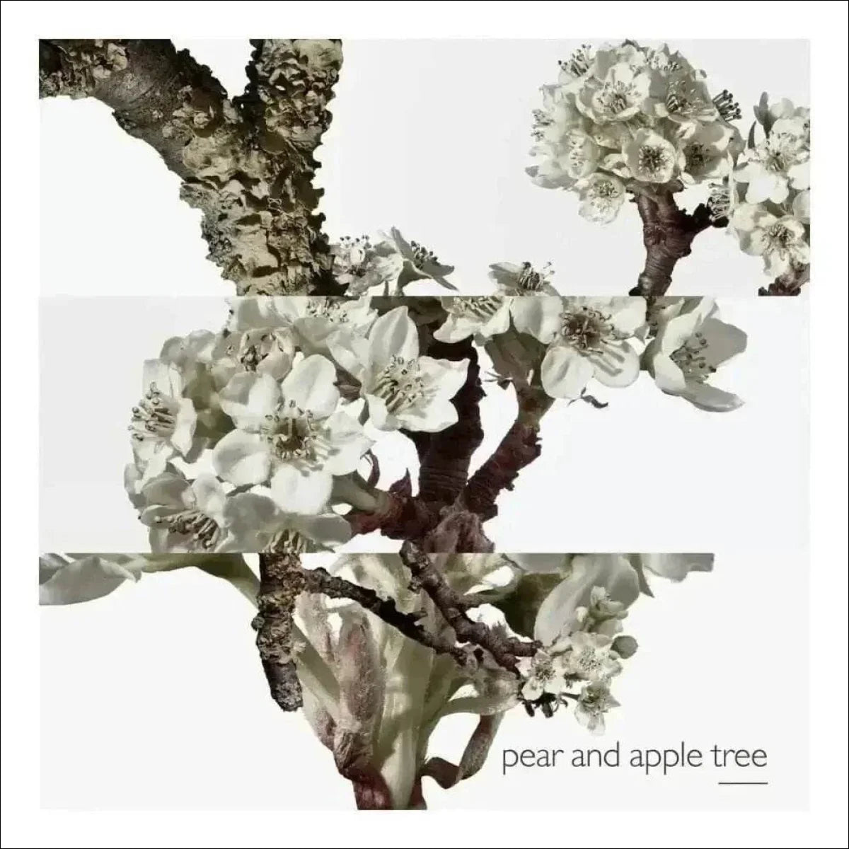 Un Jardin Sur Le Toit Hermès Edt - Perfume Feminino 50ml - Jm Grife