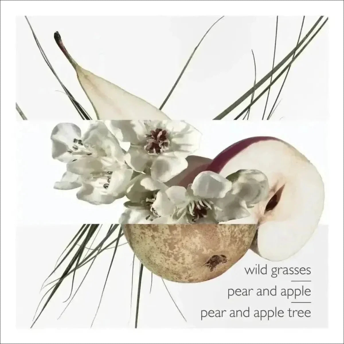 Un Jardin Sur Le Toit Hermès Edt - Perfume Feminino 50ml - Jm Grife