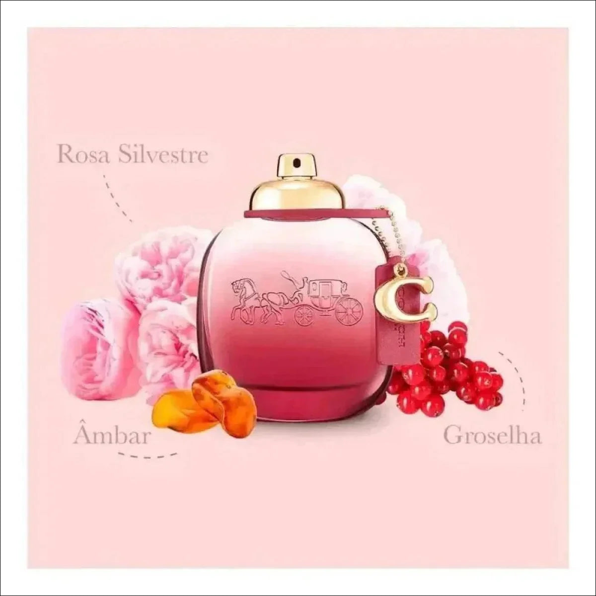 Wild Rose Coach Eau De Parfum - Perfume Feminino 50ml - Jm Grife
