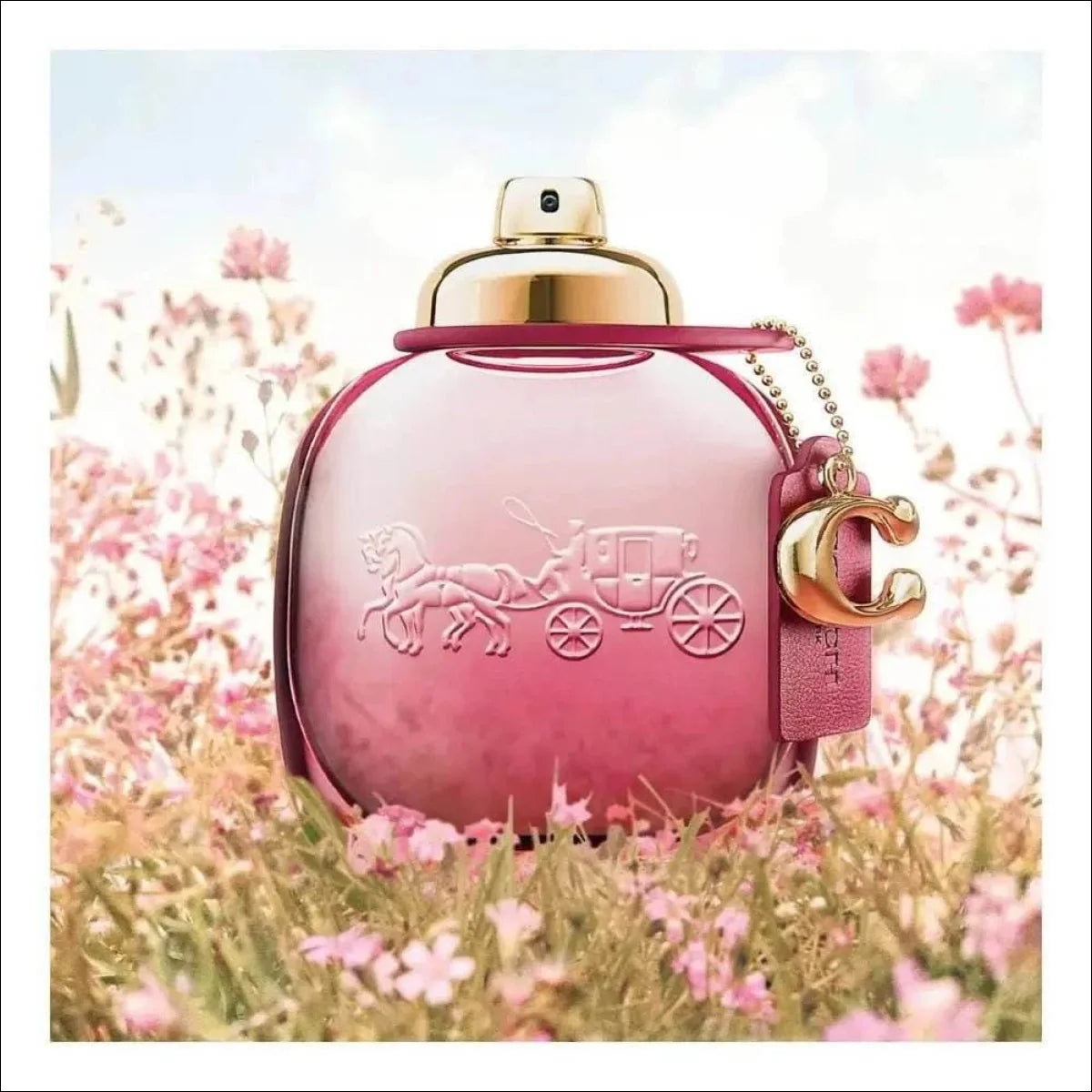Wild Rose Coach Eau De Parfum - Perfume Feminino 50ml - Jm Grife