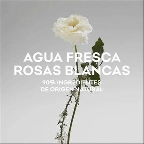 Adolfo Dominguez Agua Fresca De Rosas Blancas 120ml EDT Para Mulheres - Perfume Floral Elegante - Jm Grife - issues - Jm Grife - Adolfo Dominguez Agua Fresca De Rosas Blancas 120ml EDT Para Mulheres - Perfume Floral Elegante