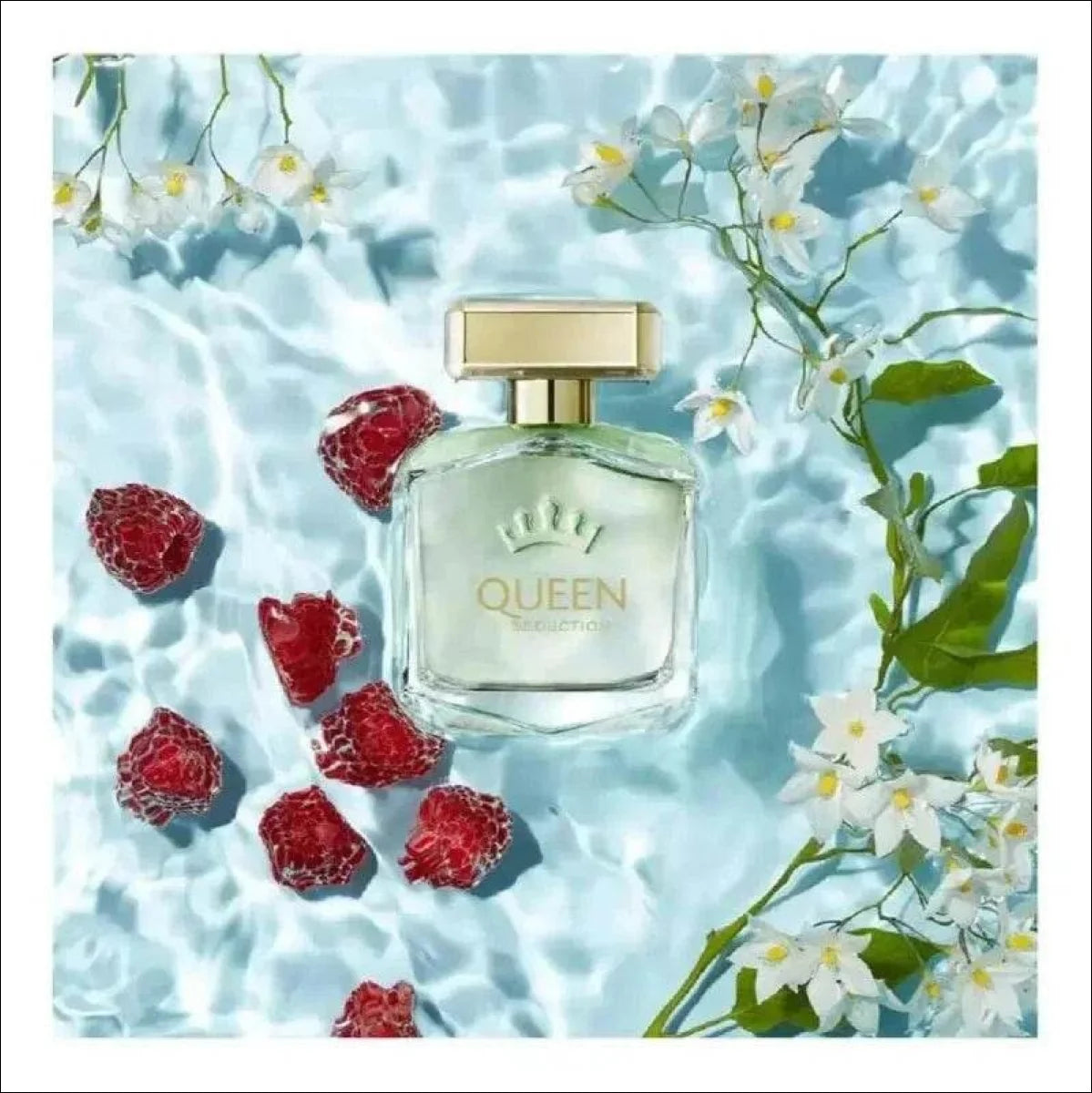 Antonio Banderas Perfume Queen Of Seduction Edt 80ml Blz - Jm Grife - issues - Jm Grife - Antonio Banderas Perfume Queen Of Seduction Edt 80ml Blz