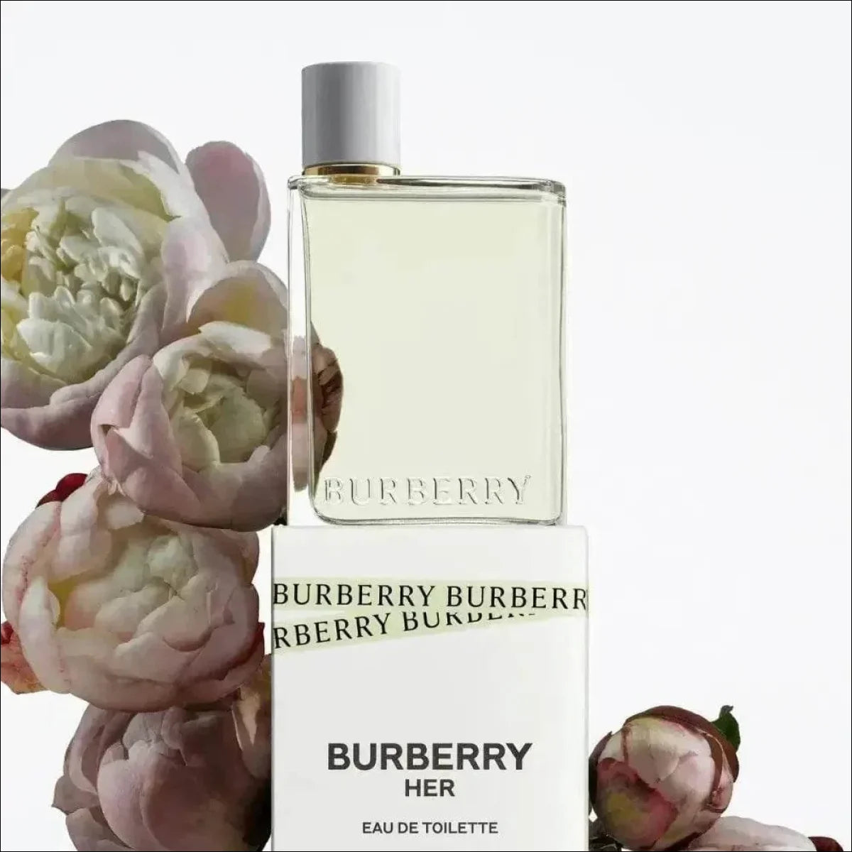 Burberry Her Perfume Feminino Eau De Toilette 50ml - Jm Grife - Burberry Her,Eau De Toilette 50ml,Fragrância Burberry,optimized,Perfume Feminino - Jm Grife - Burberry Her Perfume Feminino Eau De Toilette 50ml