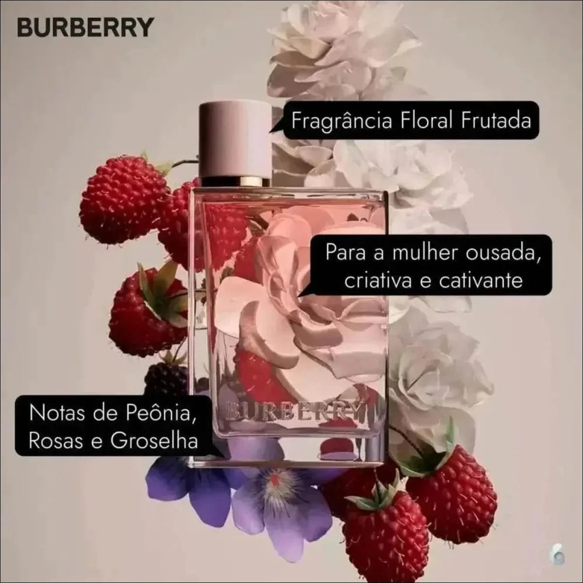 Burberry Her Perfume Feminino Eau De Toilette 50ml - Jm Grife - Burberry Her,Eau De Toilette 50ml,Fragrância Burberry,optimized,Perfume Feminino - Jm Grife - Burberry Her Perfume Feminino Eau De Toilette 50ml