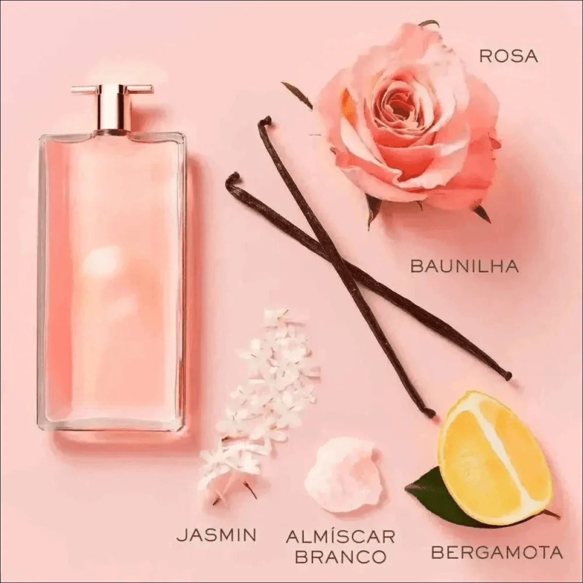 Idôle Lancôme 75ml - Eau De Parfum Floral com Notas de Rosa, Jasmim e Baunilha - Jm Grife