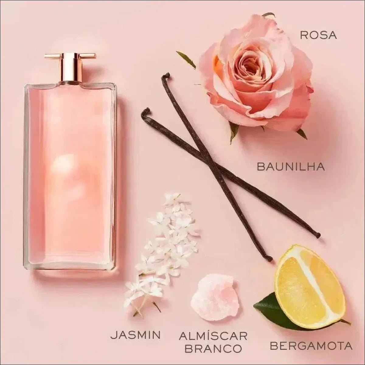 Lancôme Idôle Eau de Parfum Feminino 100ml - Perfume Floral Chipre para Mulheres Empoderadas - Jm Grife
