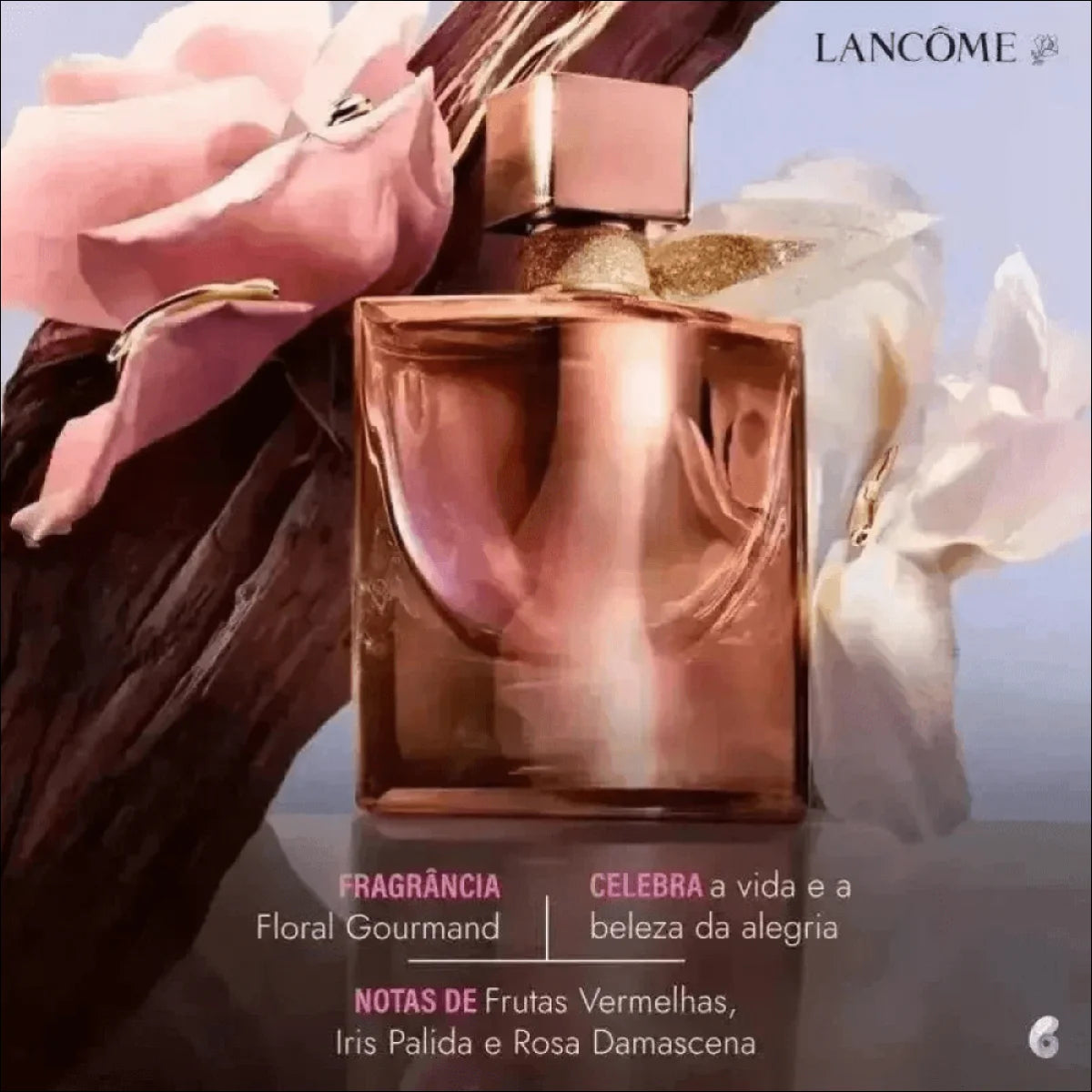 Lancôme La Vie Est Belle Gold - Extrait Elegante 75ml com Provador Inclusos - Jm Grife
