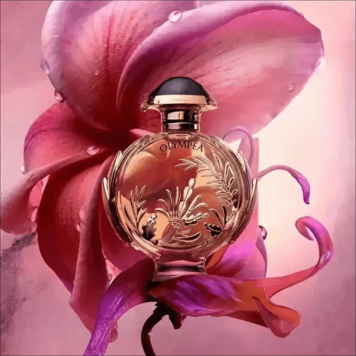 Perfume Olympéa Solar Eau de Parfum Intenso com Fragrância Floral e Design Luxuoso em Ouro - Jm Grife