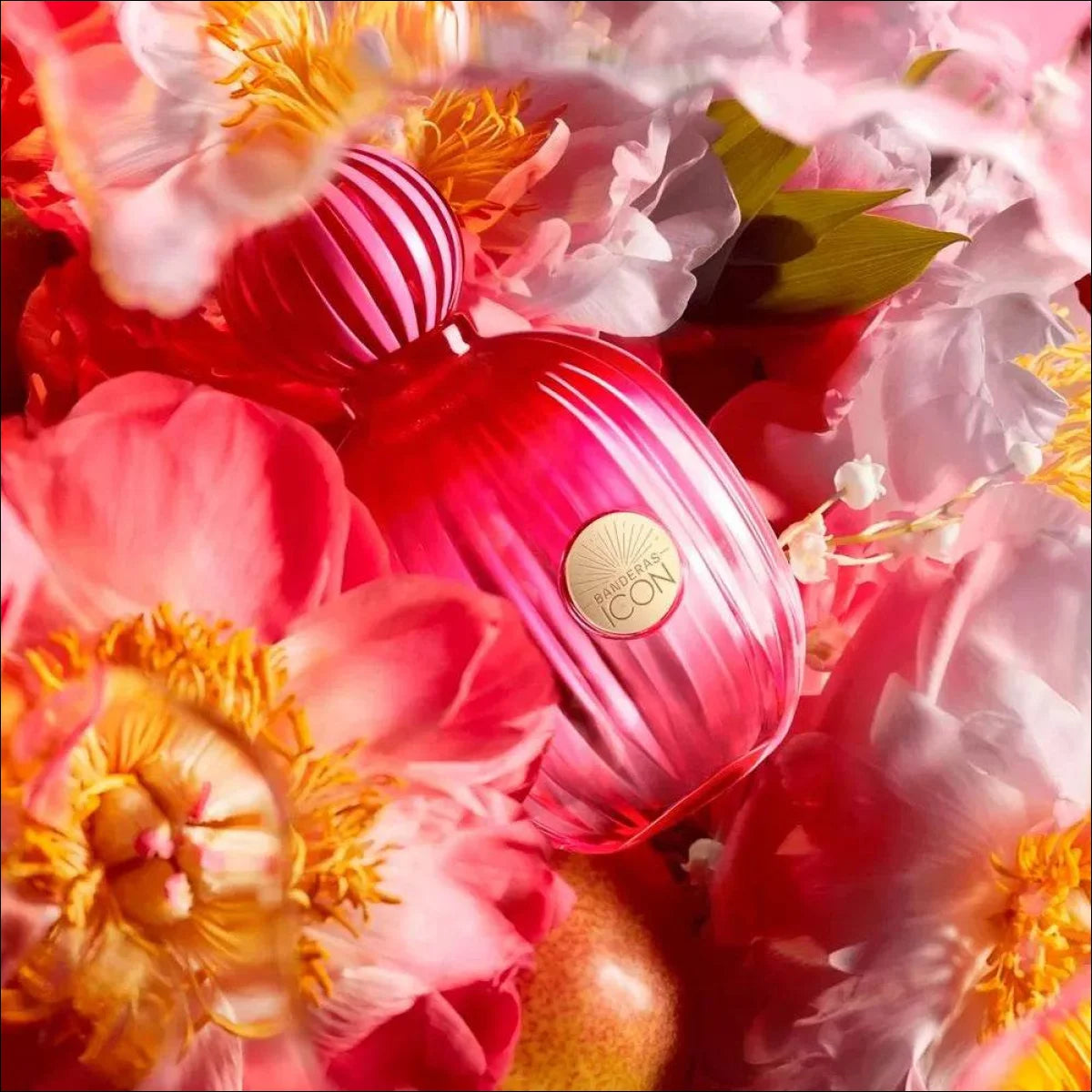 Perfume The Icon feminino Antonio Banderas  Eau de Parfum 100ml - Jm Grife