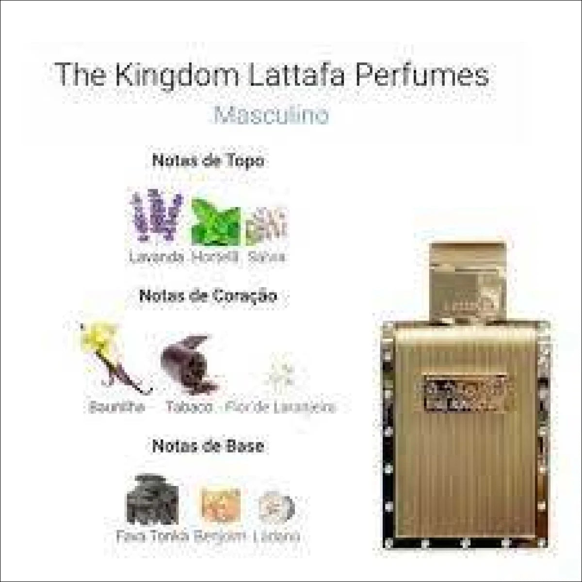Perfume The Kingdom Masculino Lattafa Eau de Parfum 100ml - Jm Grife