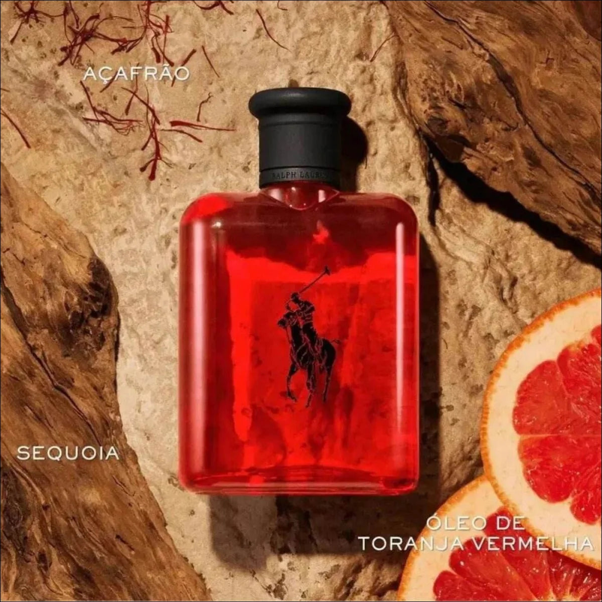 Ralph Lauren Perfume Masculino Polo Red Edt 75ml Blz - Jm Grife