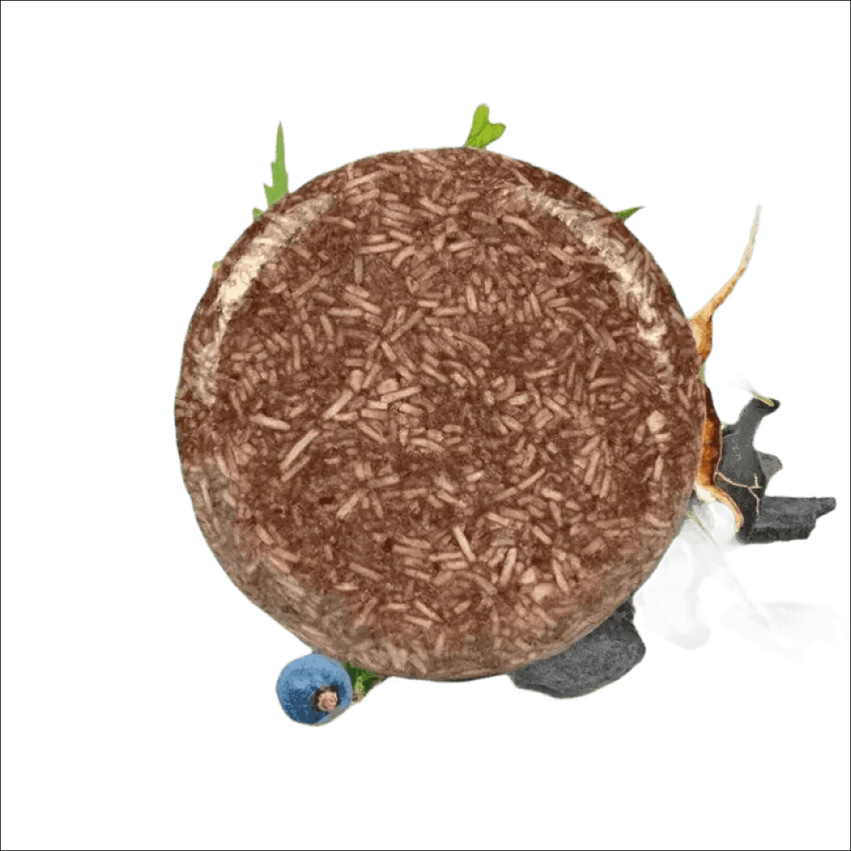 Shampoo Escurecedor Orgânico - Intensifica a Cor, Nutre e Fortalece com Ingredientes Naturais - Jm Grife