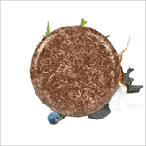 Shampoo Escurecedor Orgânico - Intensifica a Cor, Nutre e Fortalece com Ingredientes Naturais - Jm Grife