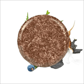 Shampoo Escurecedor Orgânico - Intensifica a Cor, Nutre e Fortalece com Ingredientes Naturais - Jm Grife