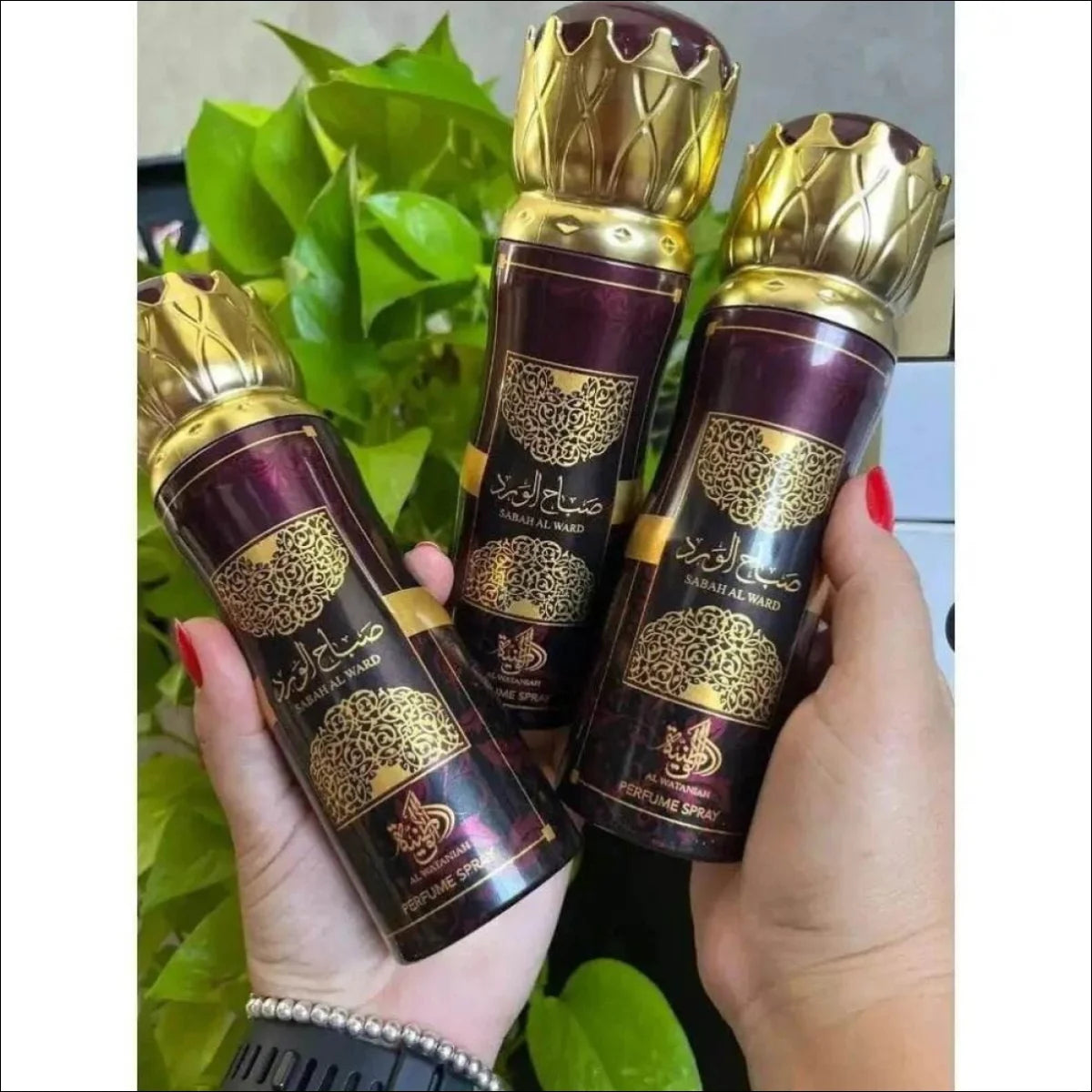 Spray Aerossol  Sabah Al Ward Al Wataniah em 200 Ml Lançamento - Jm Grife