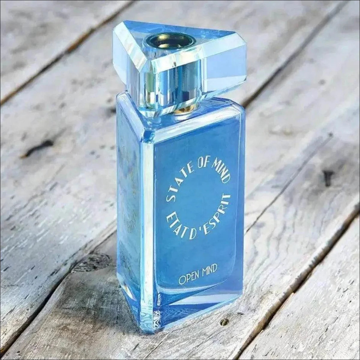 State Of Mind Open Mind Edp 100ml Unissex | + Amostra Volume Da Unidade 100 Ml - Jm Grife