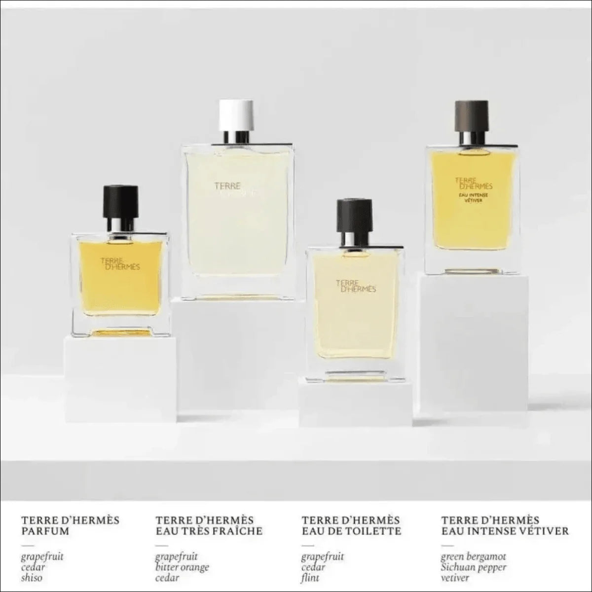 Terre D'Hermès Edt 50ml - Perfume Masculino Amadeirado e Especiado da Hermès - Jm Grife