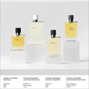 Terre D'Hermès Edt 50ml - Perfume Masculino Amadeirado e Especiado da Hermès - Jm Grife