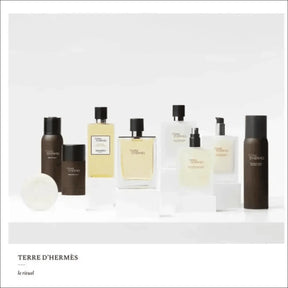 Terre D'Hermès Edt 50ml - Perfume Masculino Amadeirado e Especiado da Hermès - Jm Grife