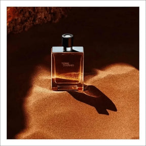 Terre D'Hermès Edt 50ml - Perfume Masculino Amadeirado e Especiado da Hermès - Jm Grife