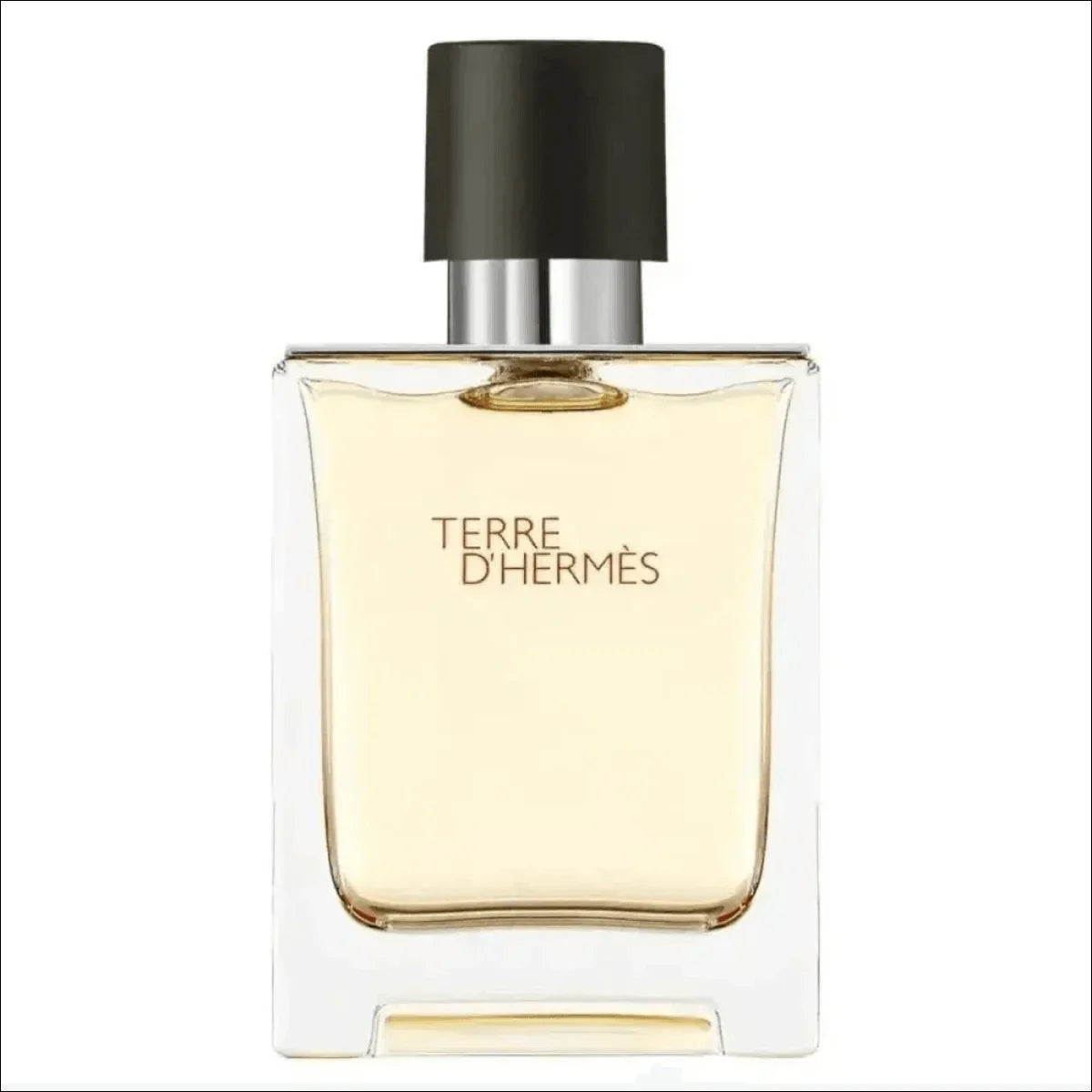 Terre D'Hermès Edt 50ml - Perfume Masculino Amadeirado e Especiado da Hermès - Jm Grife