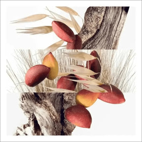 Un Jardin À Cythère Hermès Eau De Toilette - Perfume Unissex 50ml - Jm Grife