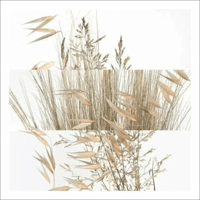 Un Jardin À Cythère Hermès Eau De Toilette - Perfume Unissex 50ml - Jm Grife