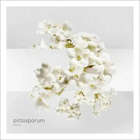 Un Jardin Sur La Lagune Hermès Edt - Perfume 100ml Blz - Jm Grife