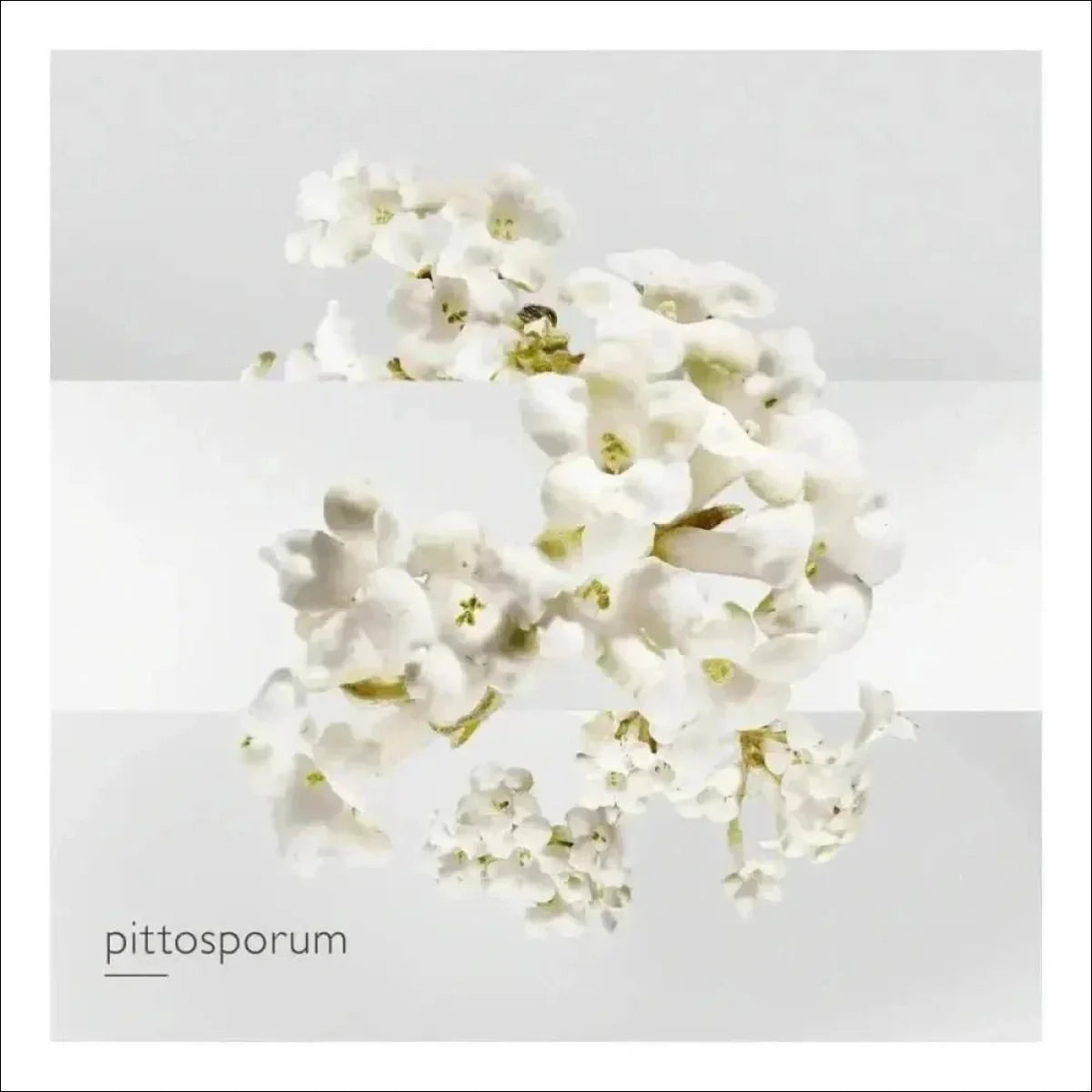 Un Jardin Sur La Lagune Hermès Edt - Perfume 100ml Blz - Jm Grife