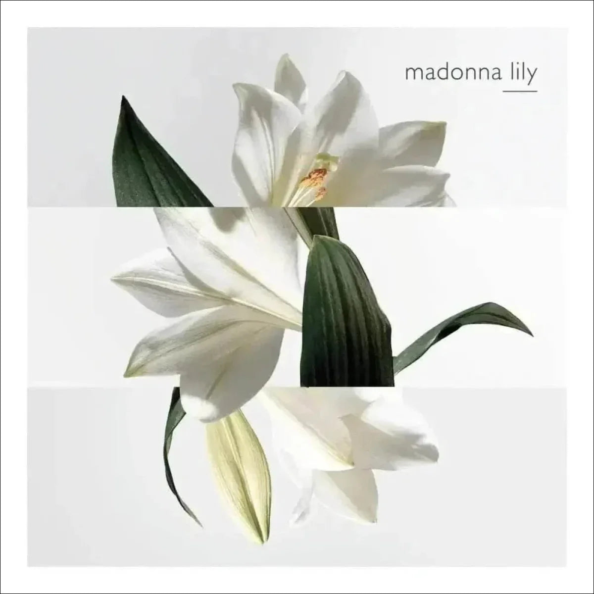 Un Jardin Sur La Lagune Hermès Edt - Perfume 100ml Blz - Jm Grife