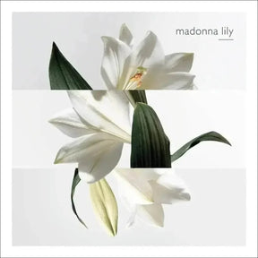 Un Jardin Sur La Lagune Hermès Edt - Perfume 100ml Blz - Jm Grife