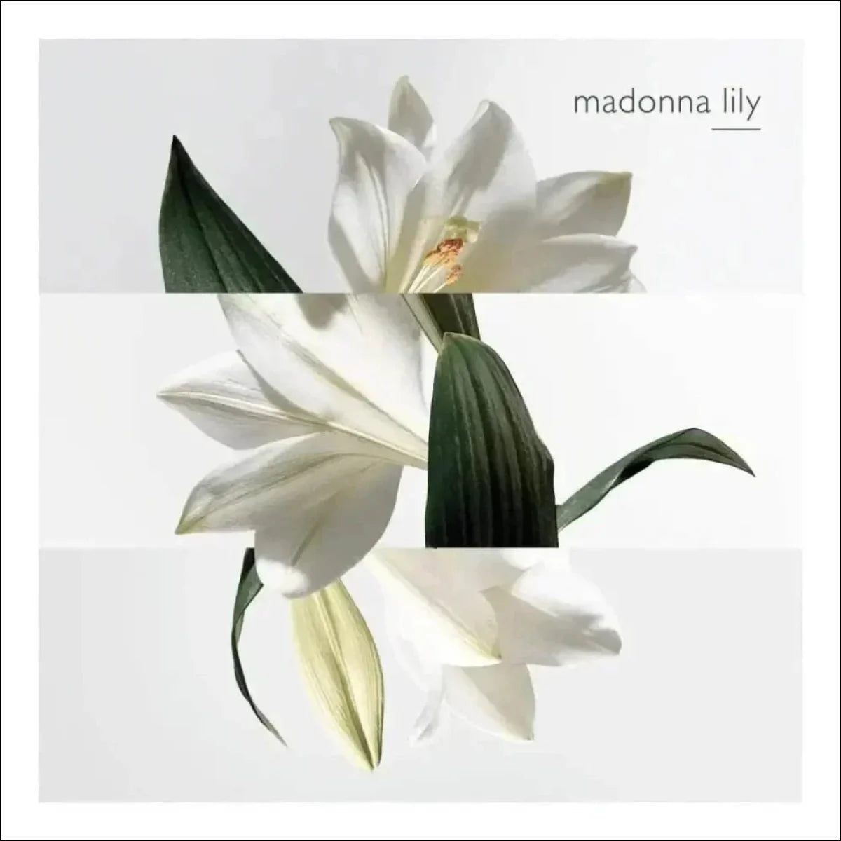 Un Jardin Sur La Lagune Hermès Edt - Perfume 100ml Blz - Jm Grife