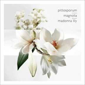 Un Jardin Sur La Lagune Hermès Edt - Perfume 100ml Blz - Jm Grife